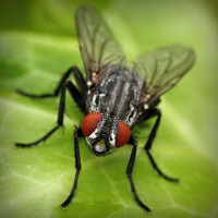 /album/paragliding-u-praha/photolia-a01-jpg/