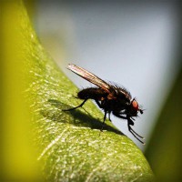 /album/paragliding-u-praha/photolia-a04-jpg/